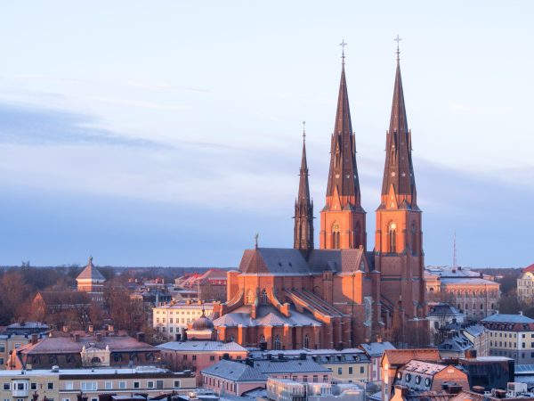An elevated viewpoint for capturing Uppsala Cathedral on a cold winter morning.